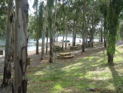 TURTLE LAKE PICNIC AREA