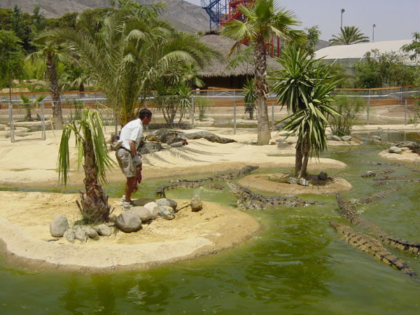 CROCODILE PARK 600x450