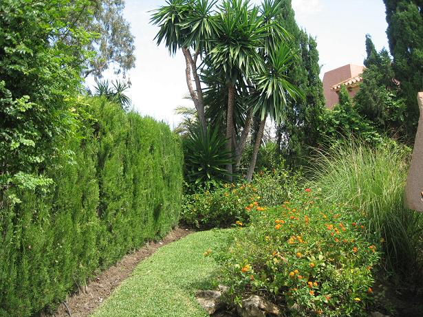 Front Garden