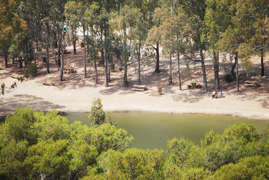 TURTLE LAKE PICNIC AREA