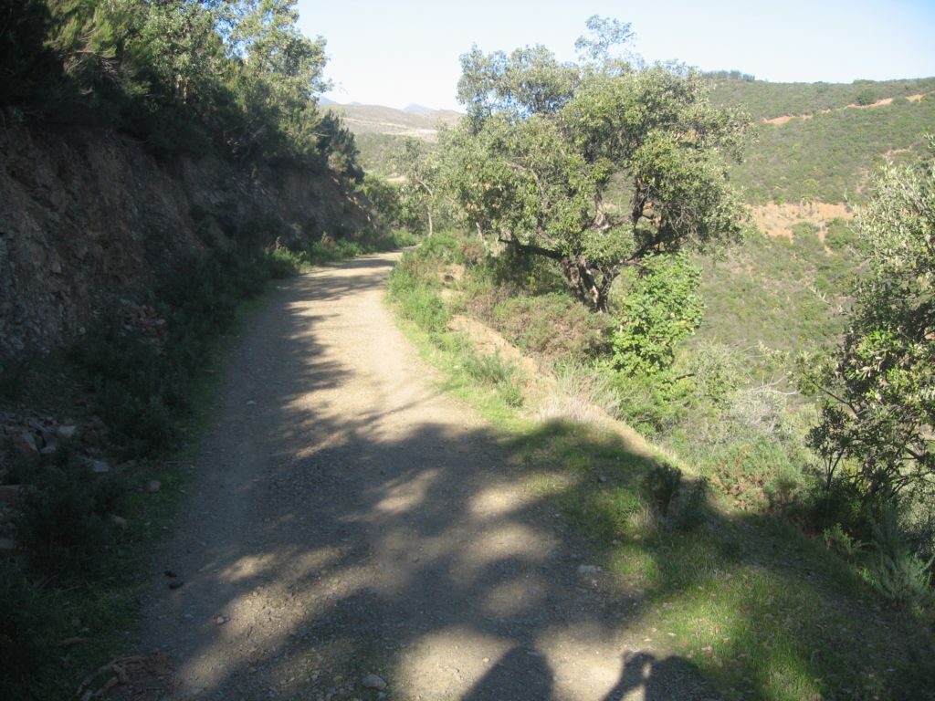 WALK TI ISTAN