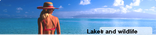 Lakes and wildlife