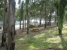 TURTLE LAKE PICNIC AREA